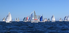 barcolana,船帆,海