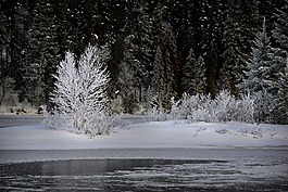 冬天風景,冷,雪