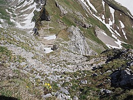 陡,線索,山