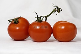 蕃茄,蔬菜,食品