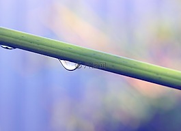 拖放,雨,綠色