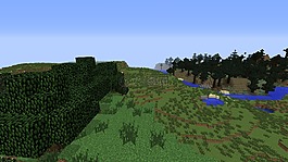 的minecraft,biom,草地