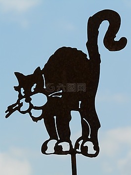貓,宿醉,數(shù)字