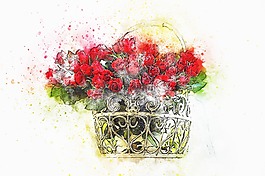 花,玫瑰,籃