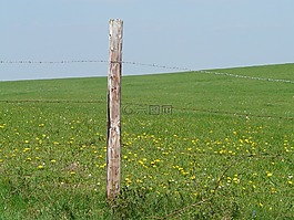 草地,性質(zhì),景觀