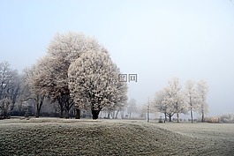 坏 zwischenahn,湖,kurpark