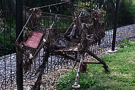 購物車,垃圾,環(huán)境