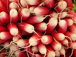 蘿卜,蔬菜,食品