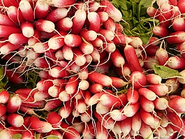 蘿卜,蔬菜,食品
