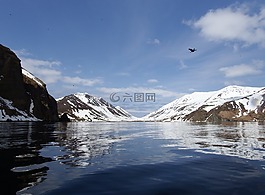 灣,海洋,海灘
