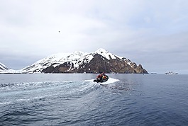 灣,海洋,海灘