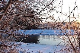 冬天,河,寒冬