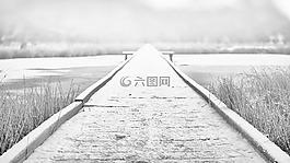 冬天,網(wǎng)站,湖