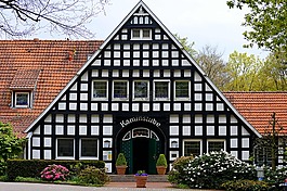 餐廳,壁爐管,fachwerkhaus