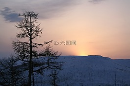 日落,山,落葉松