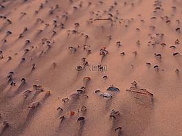 外殼,沙,海