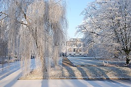 雪,成熟,冬天