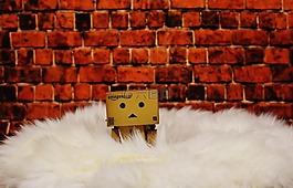 danbo,毛皮,可愛