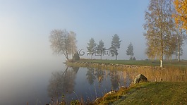 霧,大自然,早晨
