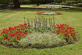 公園,鮮花,步行