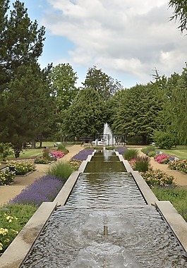 公园,水,水景