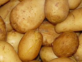 马铃薯,土豆,熟