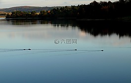 湖,abendstimmung,水