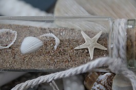 海星,瓶,沙