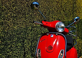 大黃蜂類,滾子,這輛摩托車