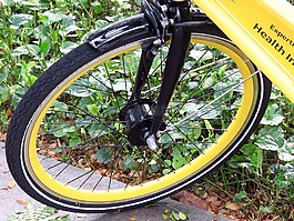 自行車,車輪,黃色