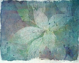 背景,纹理,叶子