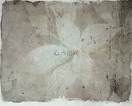 背景,纹理,叶子