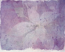 背景,纹理,叶子