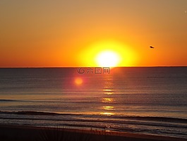 日出,海洋,海