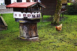 德國,巴伐利亞,旅行