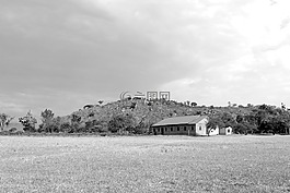 烏干達,教堂,野生