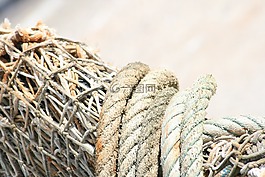 網絡,一體化,性質