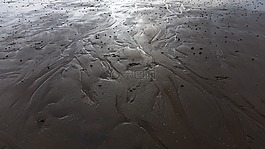 priel,瓦登海,美国瓦茨