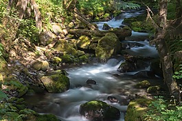 河,伍茲,荒野