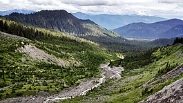 森林,貝克山,斯諾夸爾米