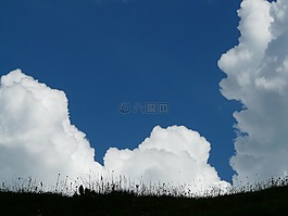 云,积云,雷暴