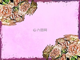 背景,信紙,花卉