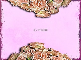 背景,信紙,花卉