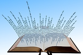 二進(jìn)制,數(shù)字化,本書