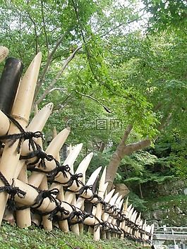 籬笆,竹,東方