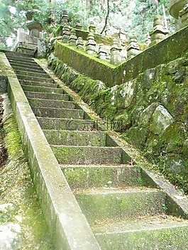 樓梯,苔,綠色