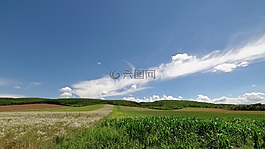 夏季,性質(zhì),景觀