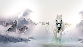 马,狼,野生