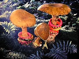 蘑菇,蘑菇和設(shè)計(jì)