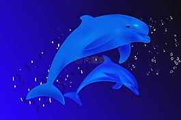 海豚,魚,海上生活